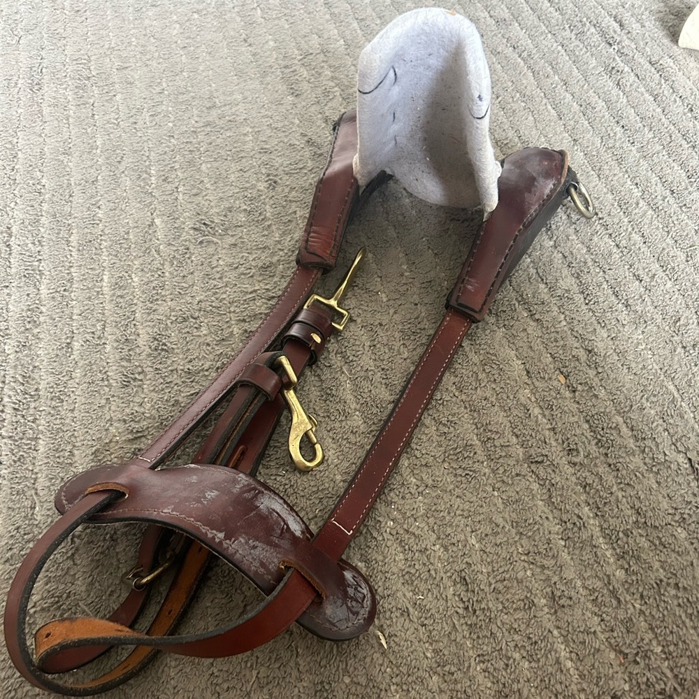 Tailset crupper